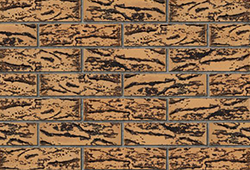     1 (250x120x65)       