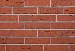  ������ �� ������ ���� � ��� ����