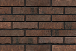  ������ �� ������ ���� � ��� ����