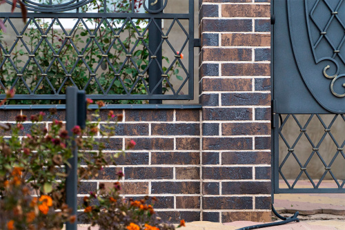  ������ � �����-���������� � ����� ���