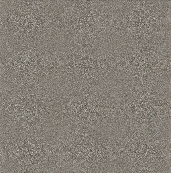 Плитка напольная VIGRANIT anthrazit Feinkorn R10 (200х200х15)
