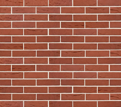  ������ � �����-���������� � ����� ���