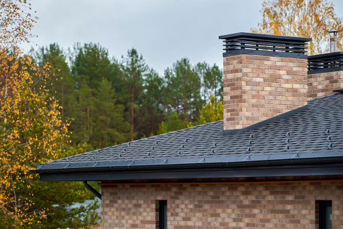  ������ � �����-���������� � ����� ���