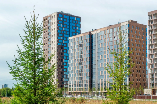  ������ � �����-���������� � ����� ���