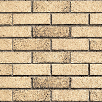   Roben MANUS salina carbon ( ) NF (240x14x71115),        