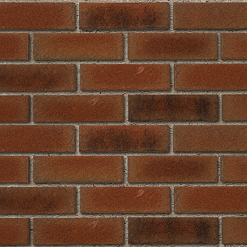   Roben MANUS banda carbon ( ) NF (240x14x71115),        